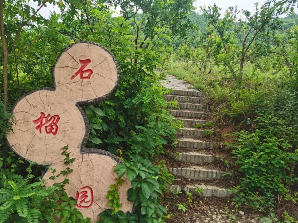 丹凤推进乡村振兴示范村建设,丹凤县美丽乡村建设