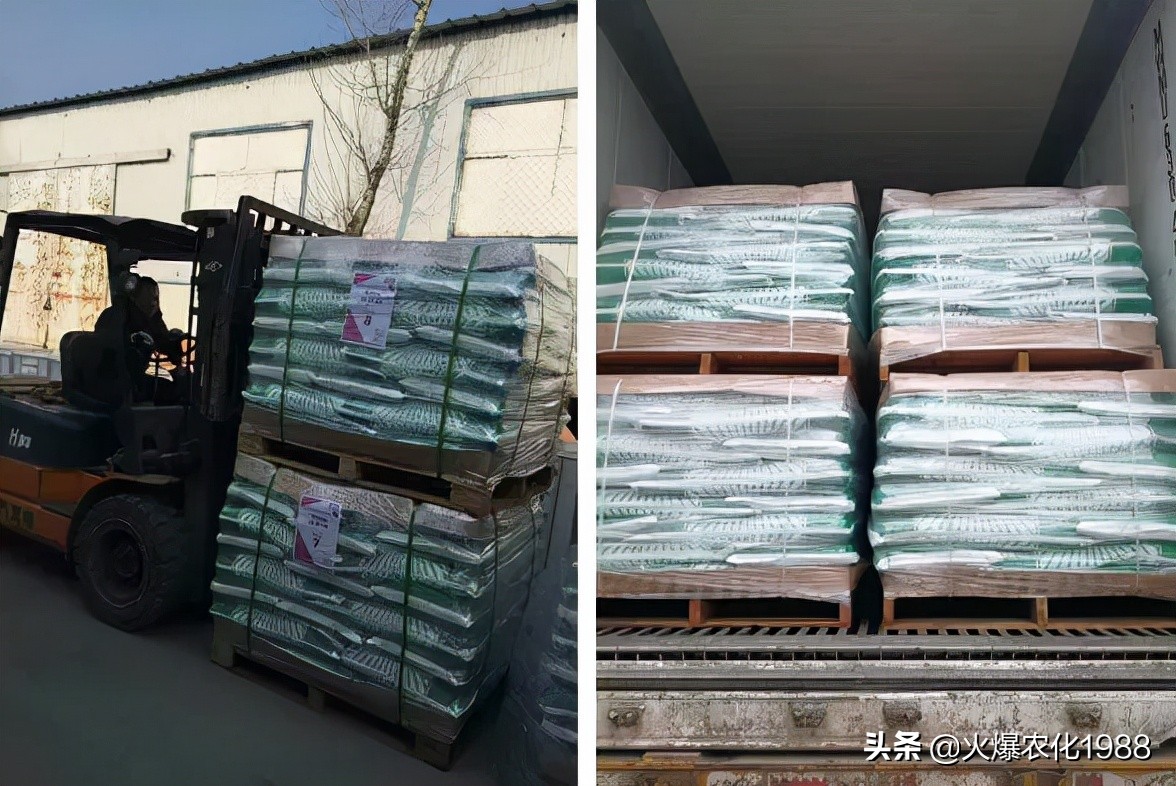 意大利、荷兰、比利时原装进口，交500顶2000；支持货到付款