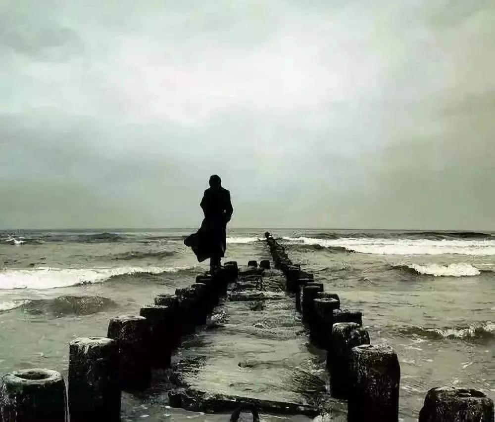 忙忙碌碌的图片配图,忙忙碌碌的生肖