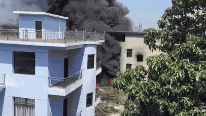 秋叶原有低烟无卤网线吗,低烟无卤网线跟pvc网线有什么区别