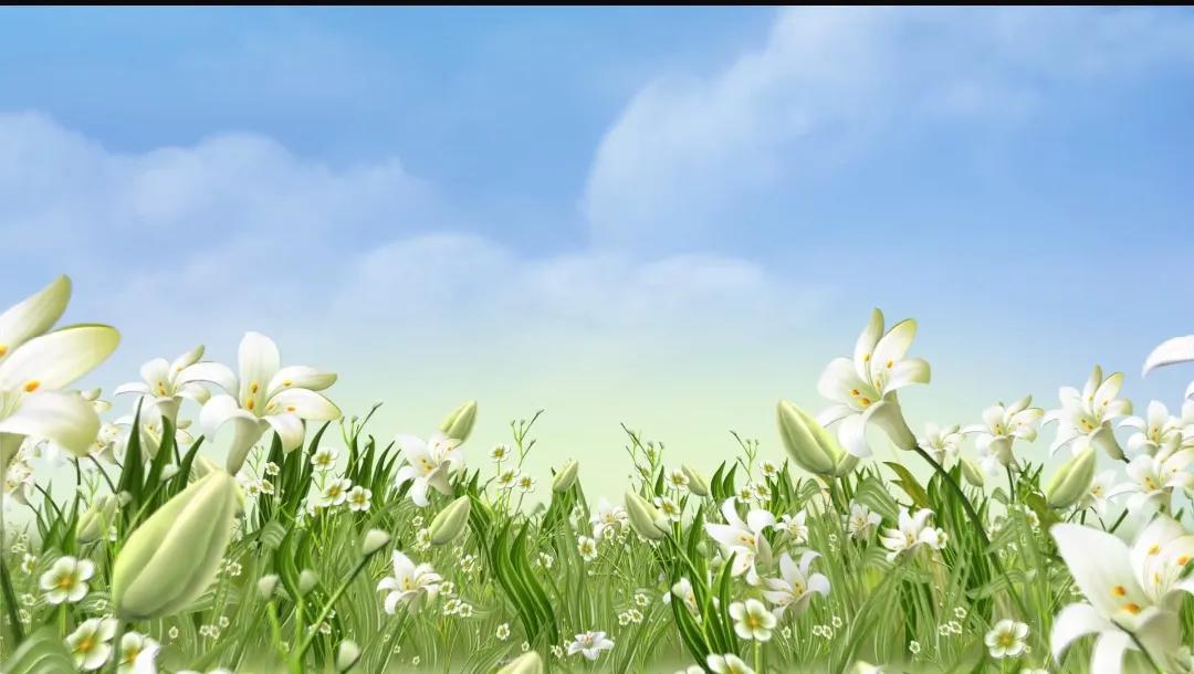 夫妻吵架了男人不理你怎么挽回,夫妻吵架后老公不理你什么心态