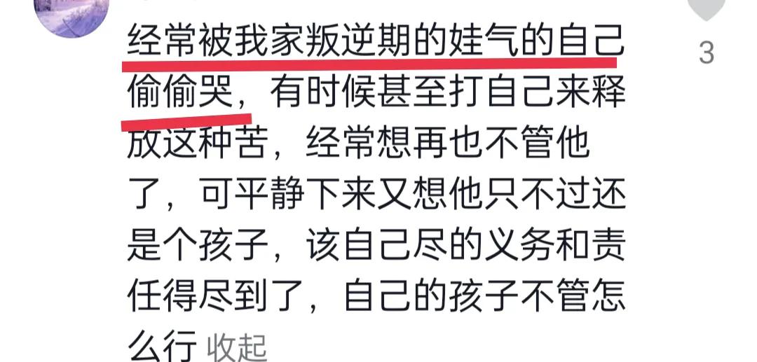 被孩子气哭的家长怎么安慰,被自己初三孩子气哭感觉很绝望