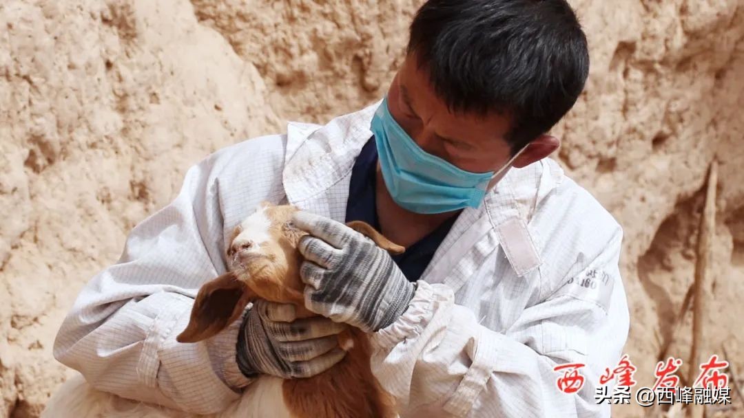 帅龙龙是干什么的,帅龙龙