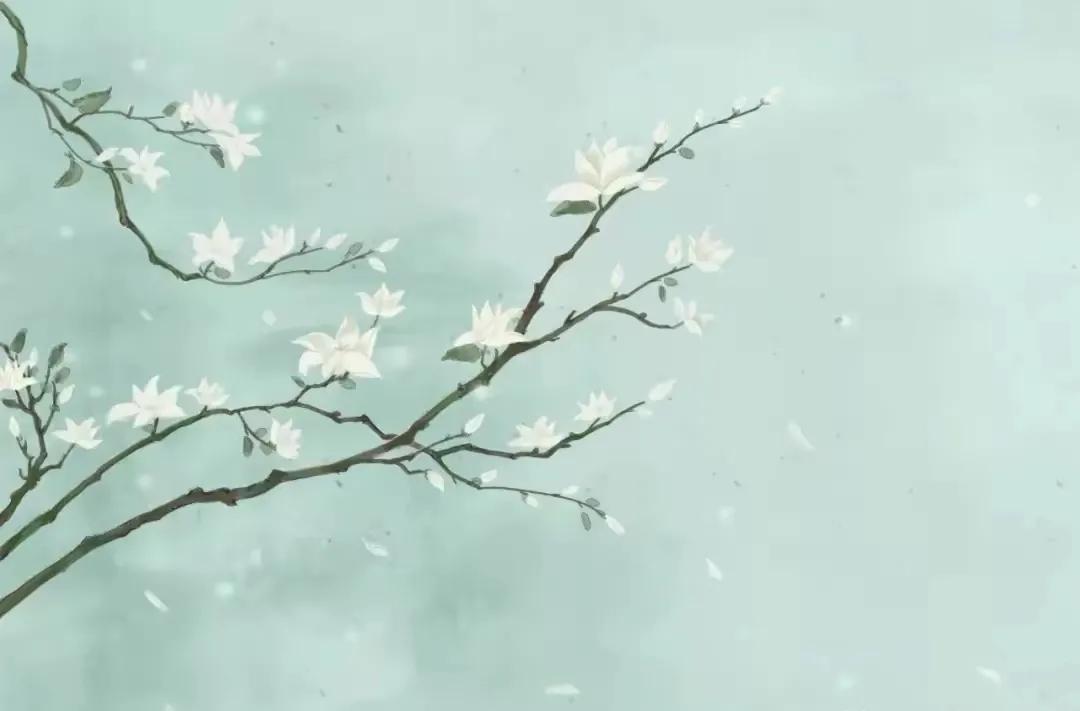 陈风月诗经原文,诗经陈风月出全文注音