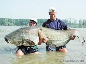 生化危机8八尺贵妇人怎么逃生,如果发生了生化危机该怎么办