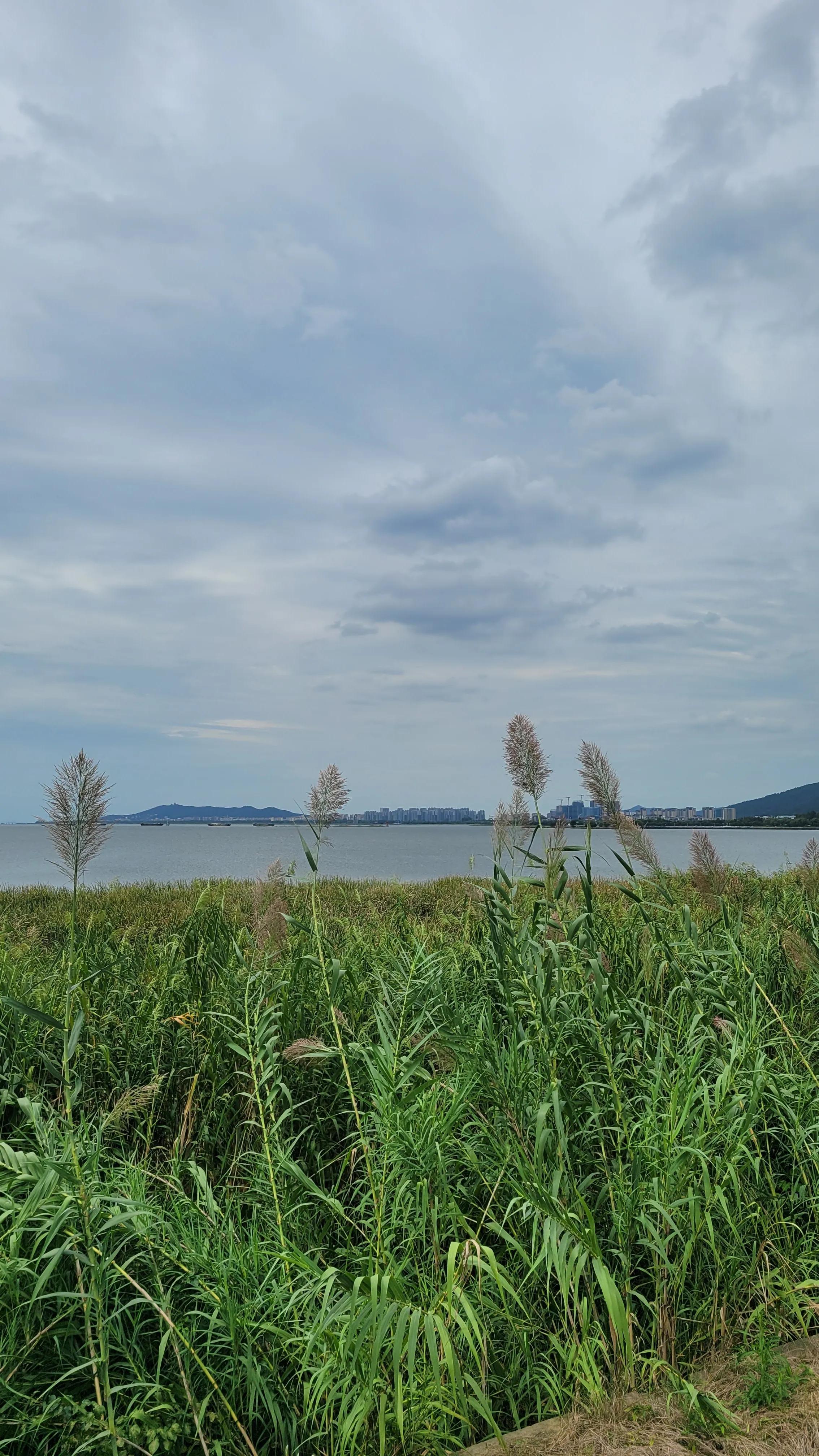 苏州胥口太湖有什么好玩的,环太湖苏州段景点