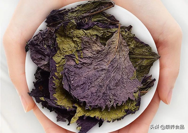 紫苏是道地的国产本草,入药入食的历史已有数千年