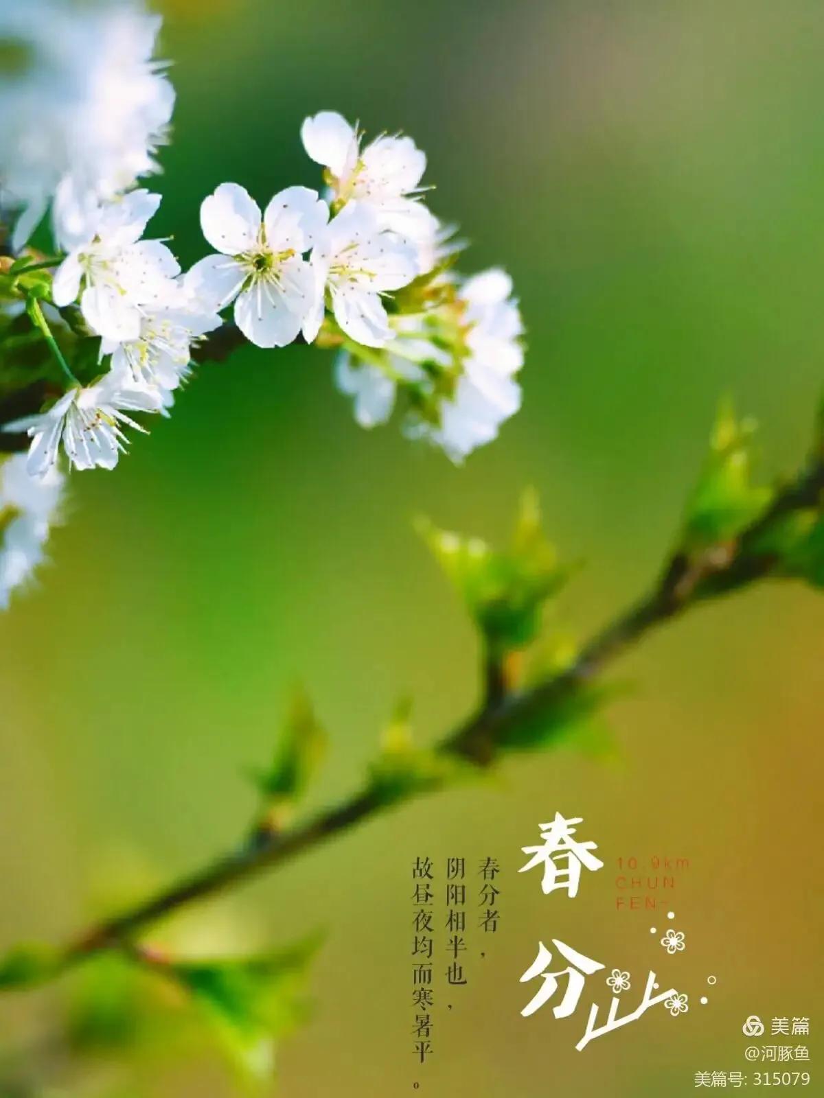 二十四节气春分古诗,二十四节气春分小故事