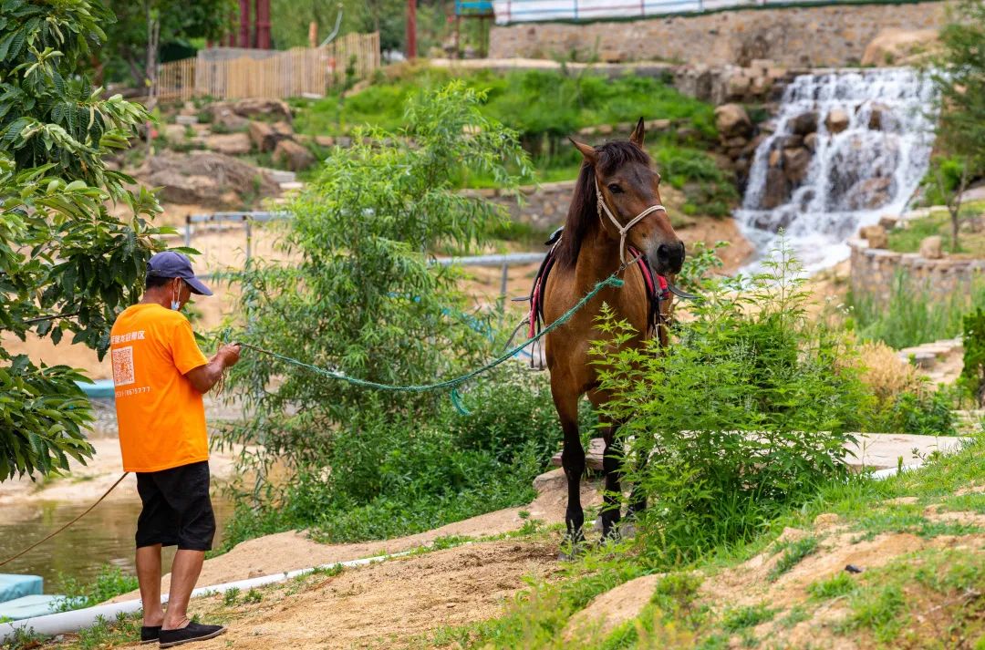 莱芜冬天近郊游一日游,周边游亲子游一日游莱芜