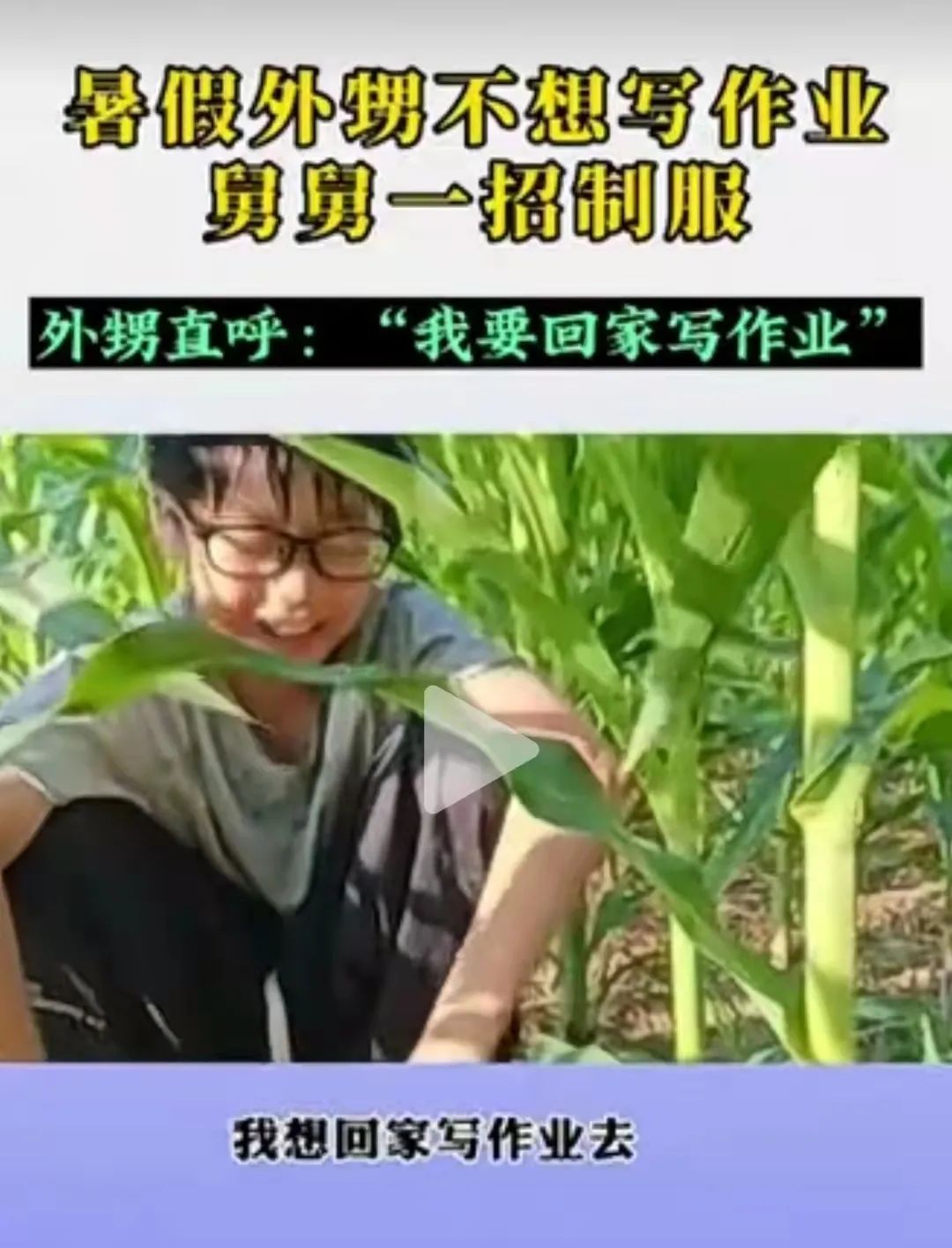 为了暑假成绩不下滑，瞧瞧这届家长都是怎么逼孩子学习的