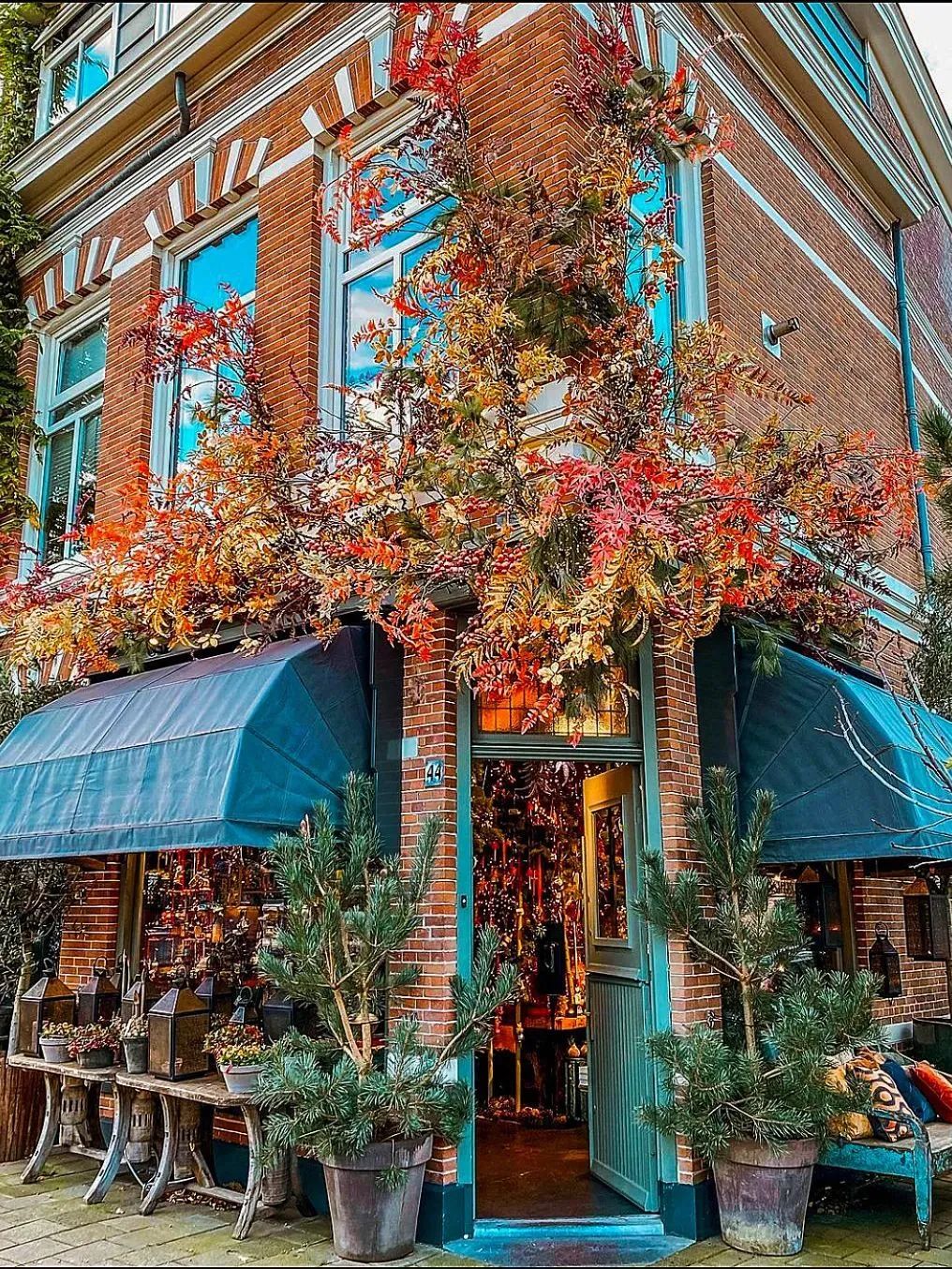 2022年花店的前景怎么样,2022年开个花店怎么样