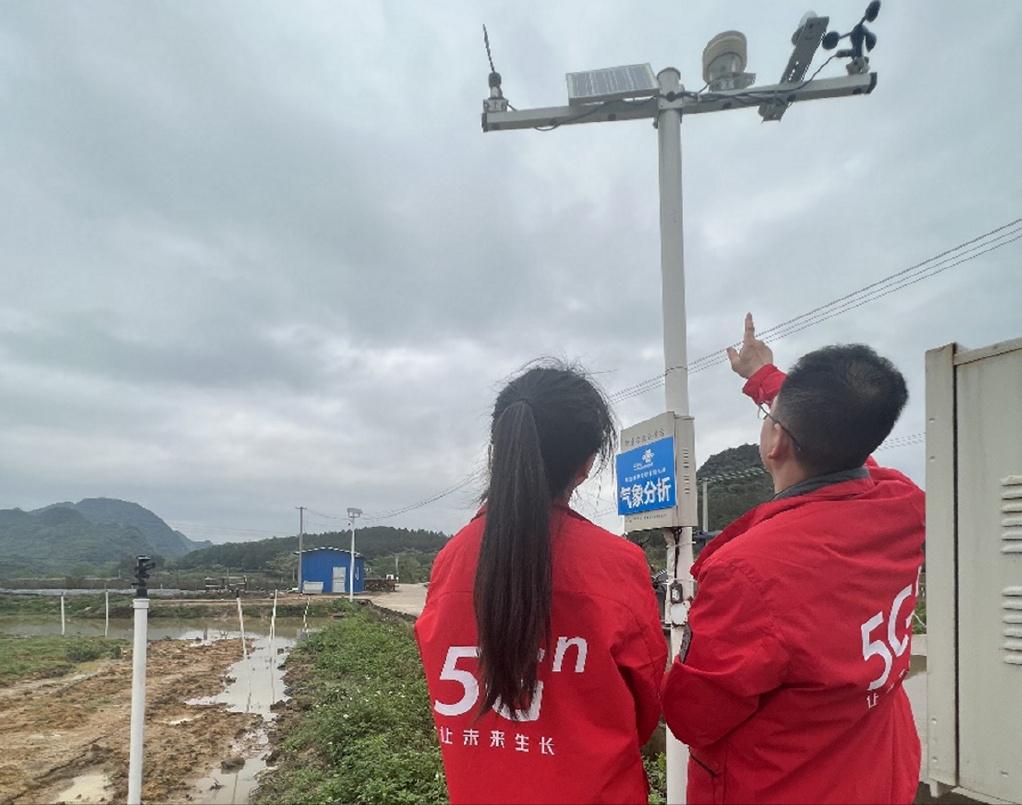 广西贺州：数字赋能“菜篮子”，书写产业“致富经”