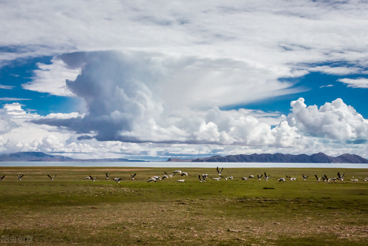 创业者应该关注的重要消费群体,创业选择客单价高的还是低的