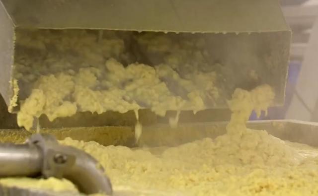 山东男子创办生姜加工厂,男子种植生姜带头致富