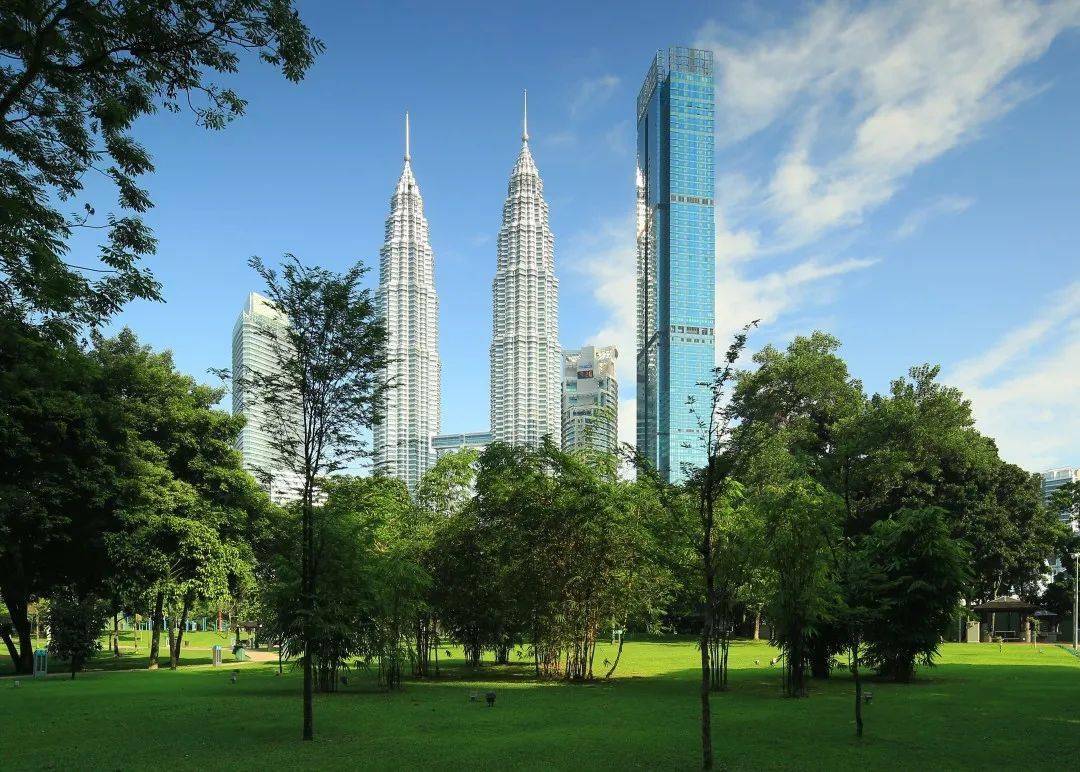 马来西亚移民卡是什么样子,马来西亚红卡申请条件费用多少