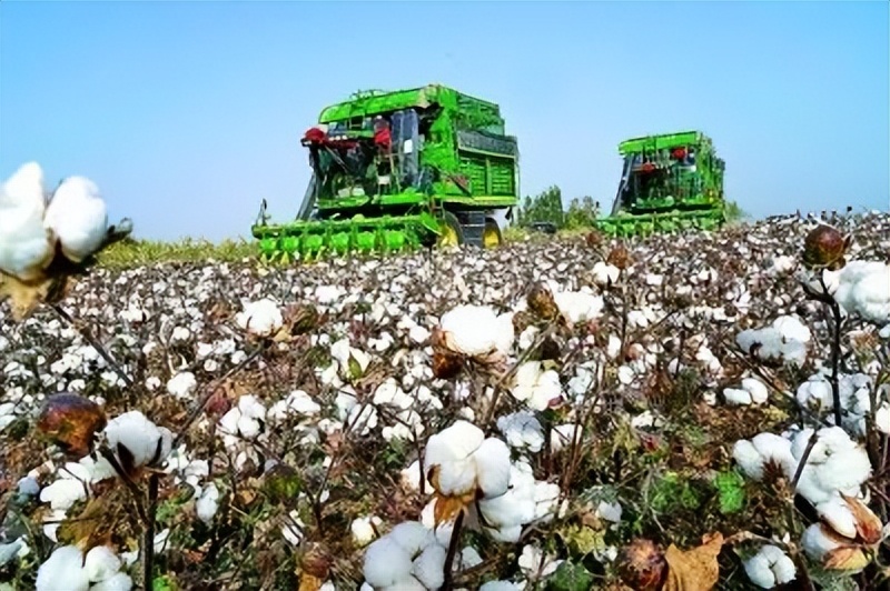 告诉你一个真实的中国,告诉你一个真实的青岛