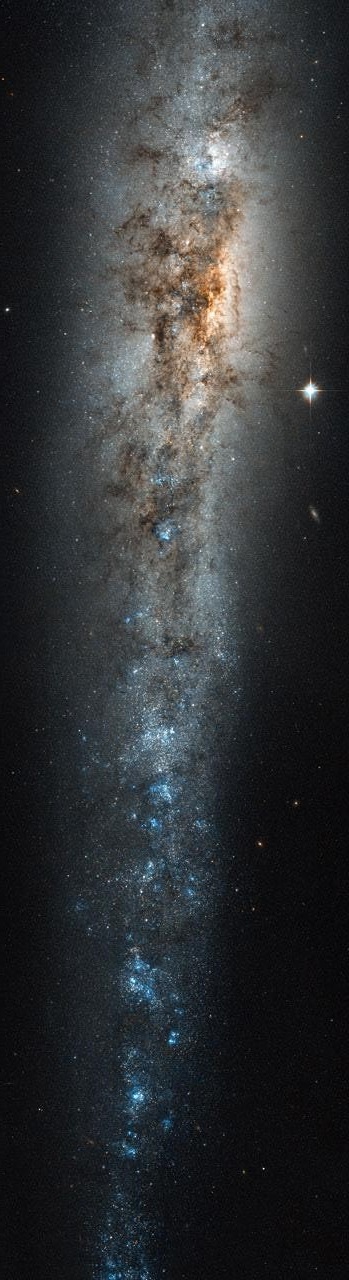 仙女星系里面最像地球的星系,星系中最强的星系和最大的星系