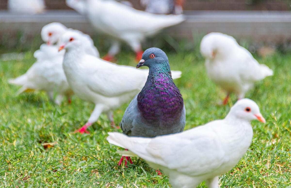小县城带小朋友去哪里玩,盘锦带娃两日游攻略