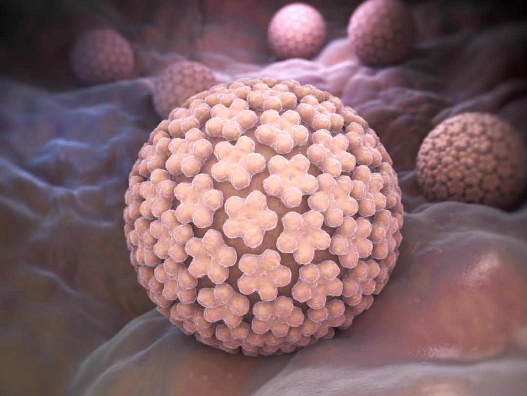 高危型hpv39阳性是宫颈癌吗,hpv阳性一定患子宫癌吗