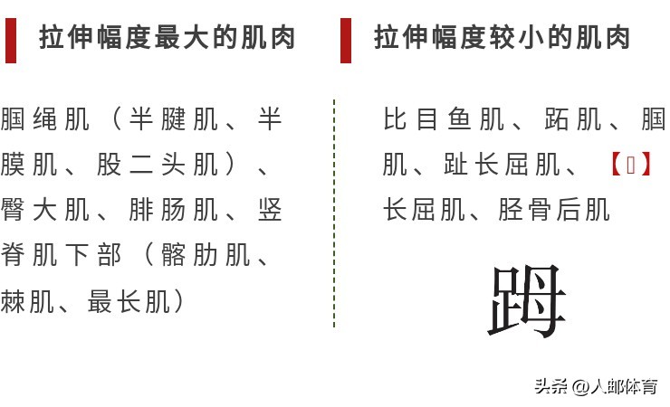 在沙发上锻炼,久坐一族伸展练习方法