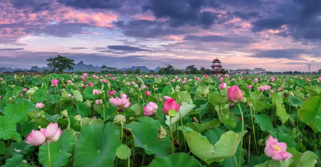 广西贵港特色美食街有哪些,贵港高铁站附近美食