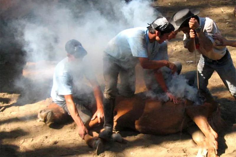 LengaDesign丨企业品牌到底是什么?