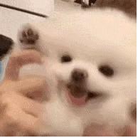 深圳咖啡厅福田打卡攻略,深圳咖啡展哪里有