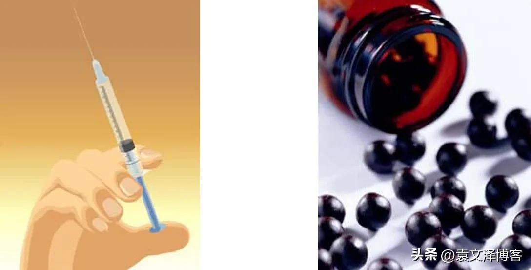 seo是什么牌子,seo是什么优化方法