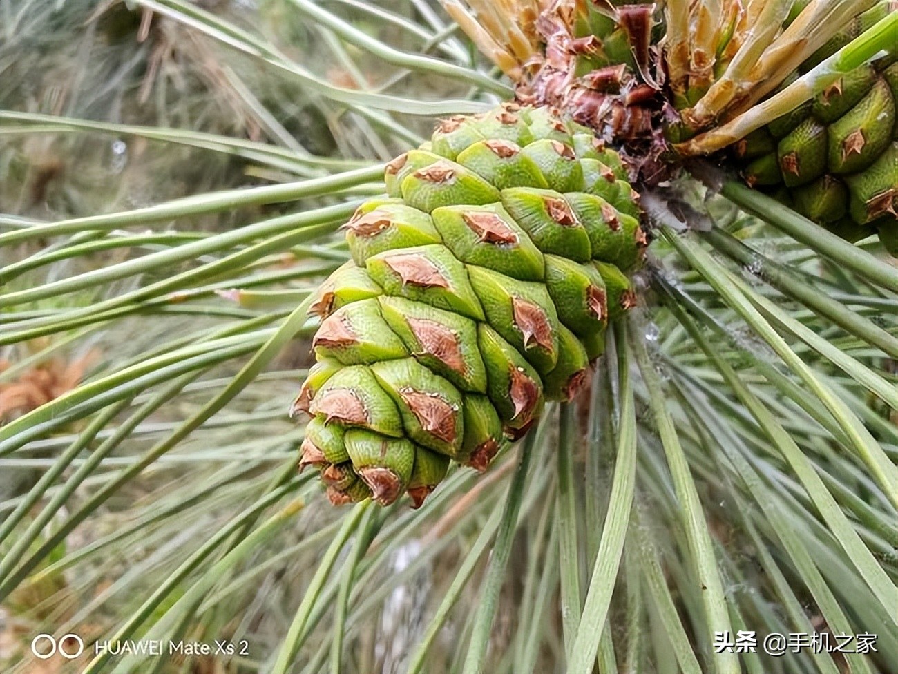 华为matexs2使用一年感受,华为matexs2使用真实体验
