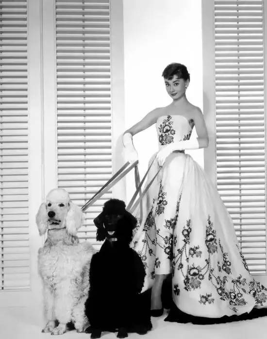 涨姿势！你知道这些品牌背后的故事吗？