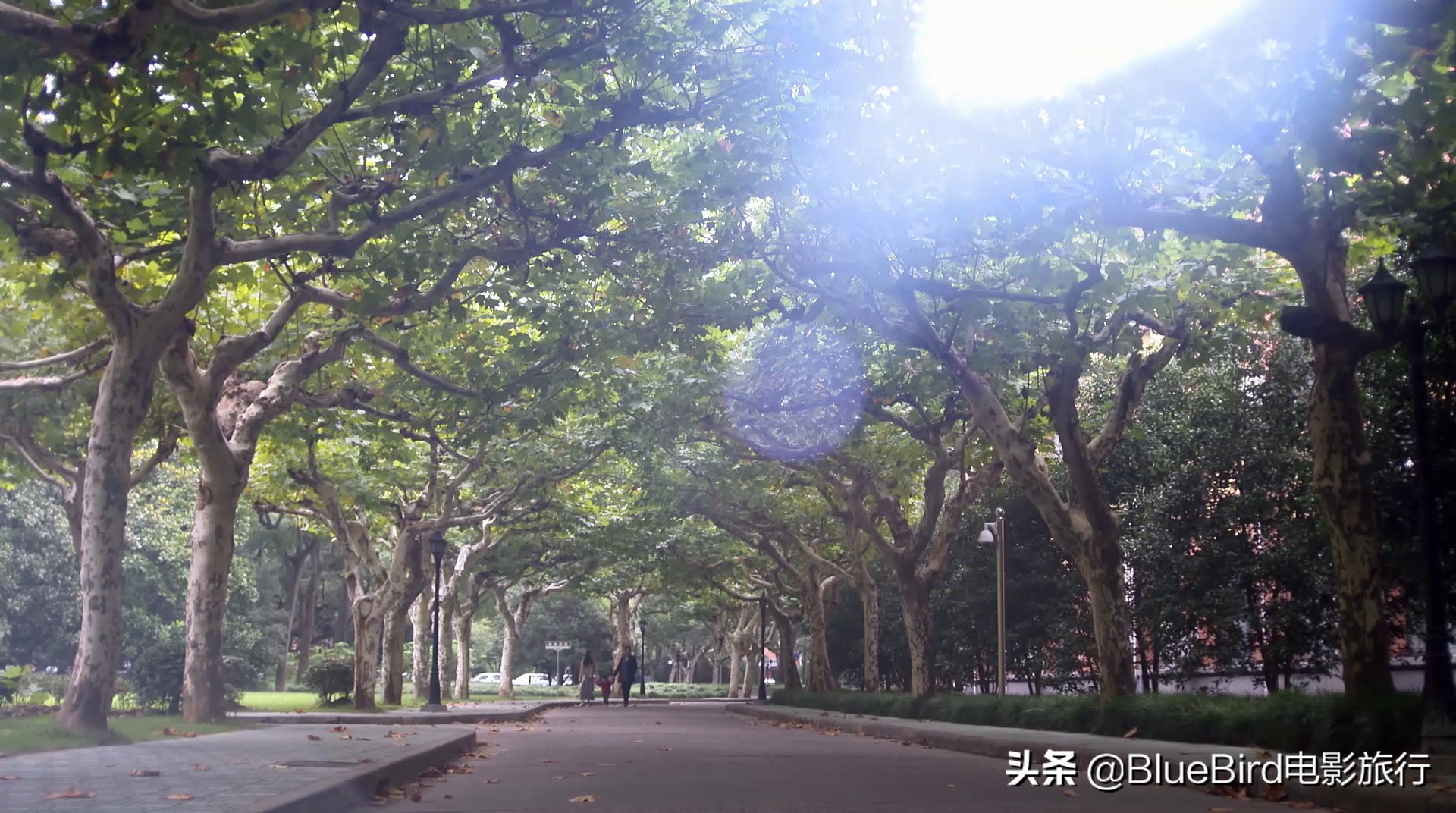 《何以笙箫默》取景地合集：何以爱恋游苏沪，琴瑟鸣于上师大2