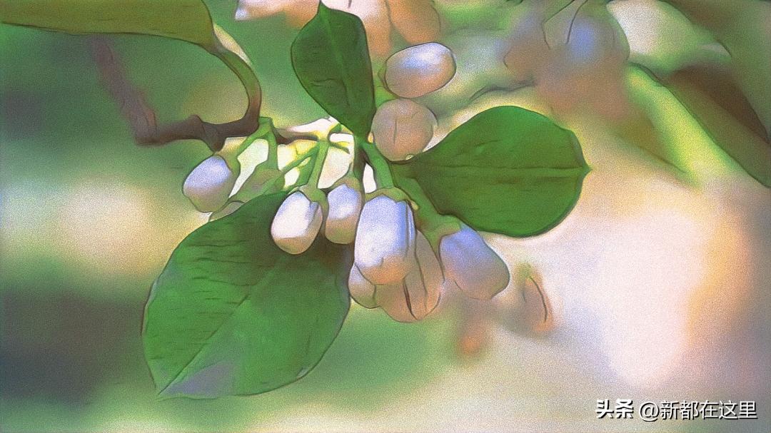 新繁，你要细细品~