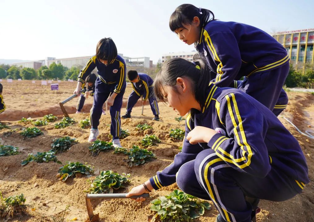 前方高能谁演的,前方高能校园歌手演唱瞬间