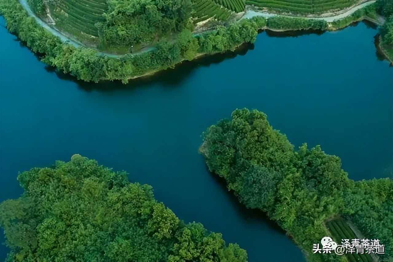 中国茶叶第一产茶大省,陕西中国茶叶第一大省