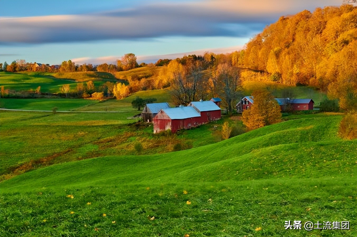 农村合作社补贴政策2022,2022小麦补贴每亩多少钱