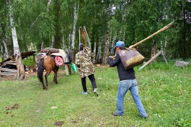 压缩饼干军用做法,把牧草加工成压缩饼干