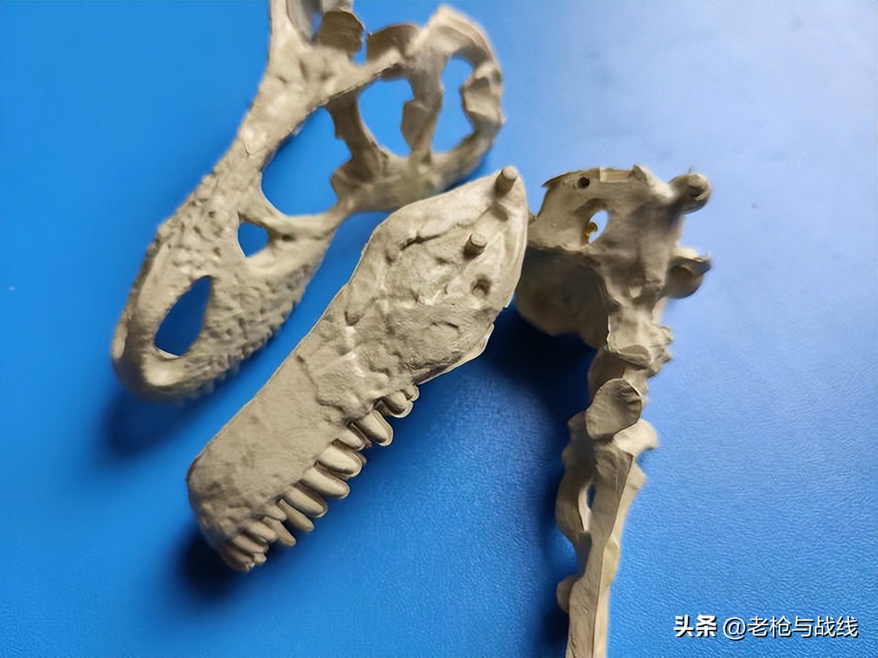 如何制作霸王龙骨架,用硬纸板做霸王龙骨架教程