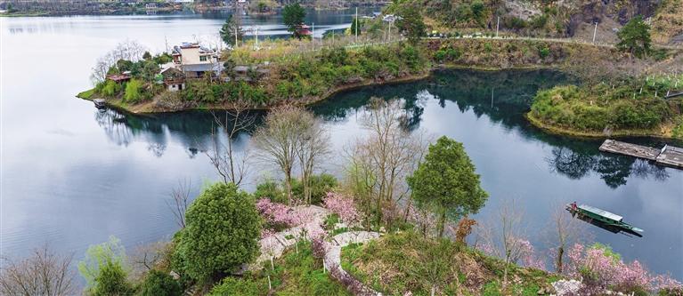 春来湘西，拈朵微笑的花