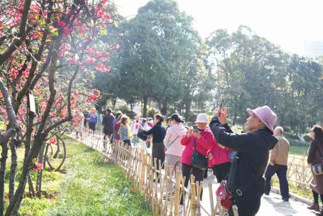 有一种云南的生活叫昆明,有一种云南生活叫西双版纳