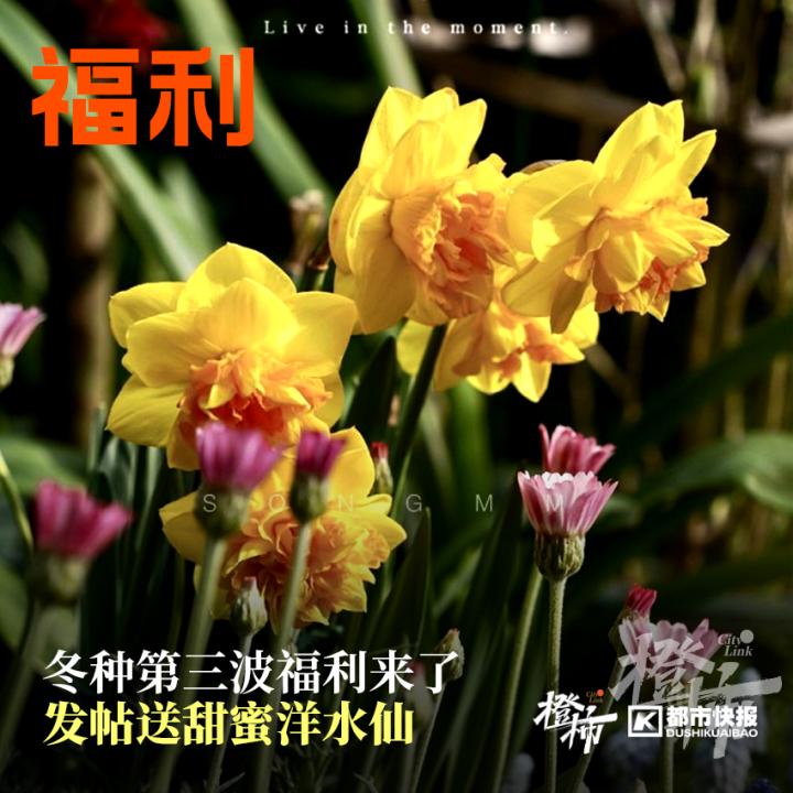 文创礼物2024,文创礼品福利品