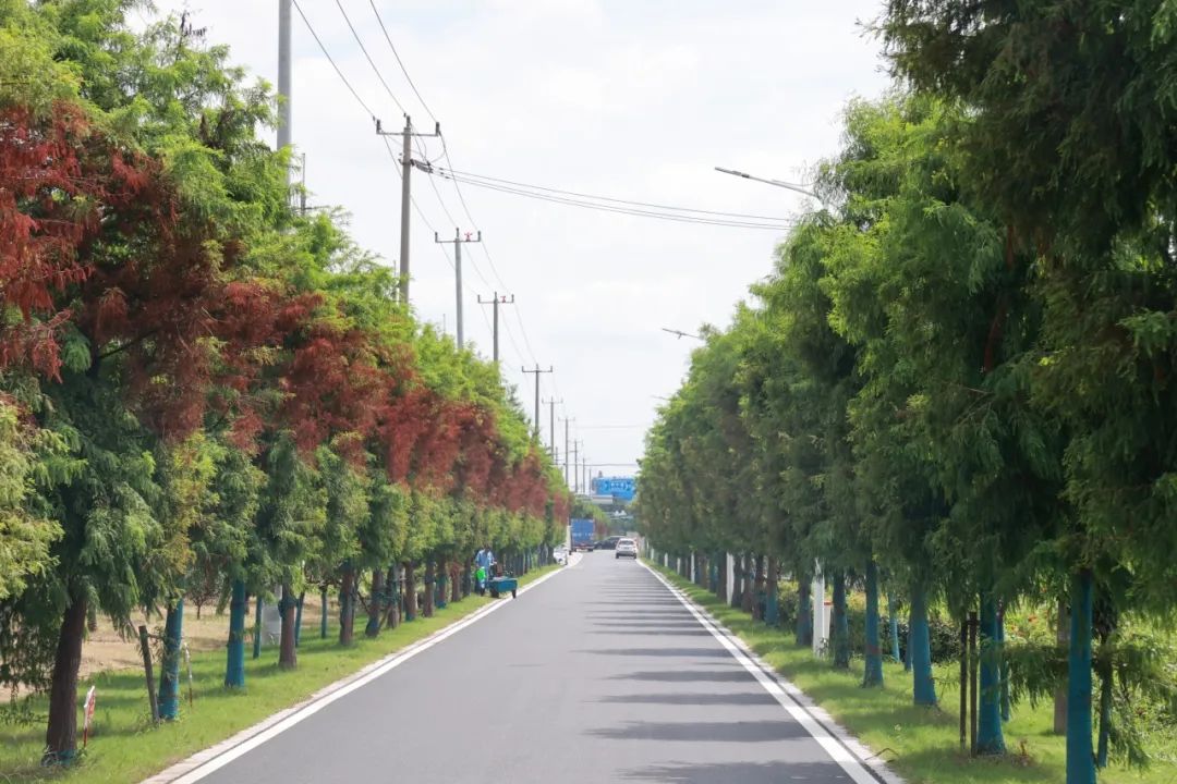 省级四好农村路示范县,我县荣获四好农村路省级示范