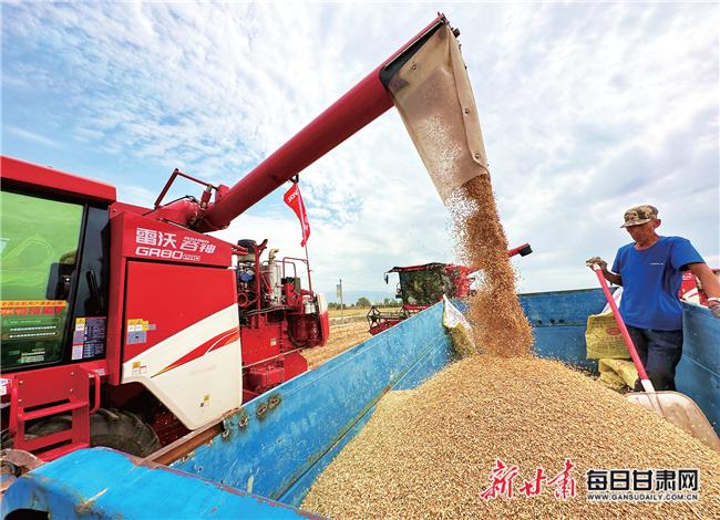 武威市高质量发展观摩活动,扬帆远航风正劲