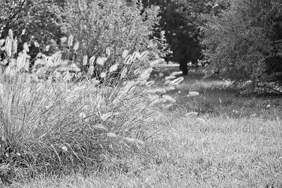 秋季艾蒿过敏去哪个城市避开,预防秋季过敏这么做就对了