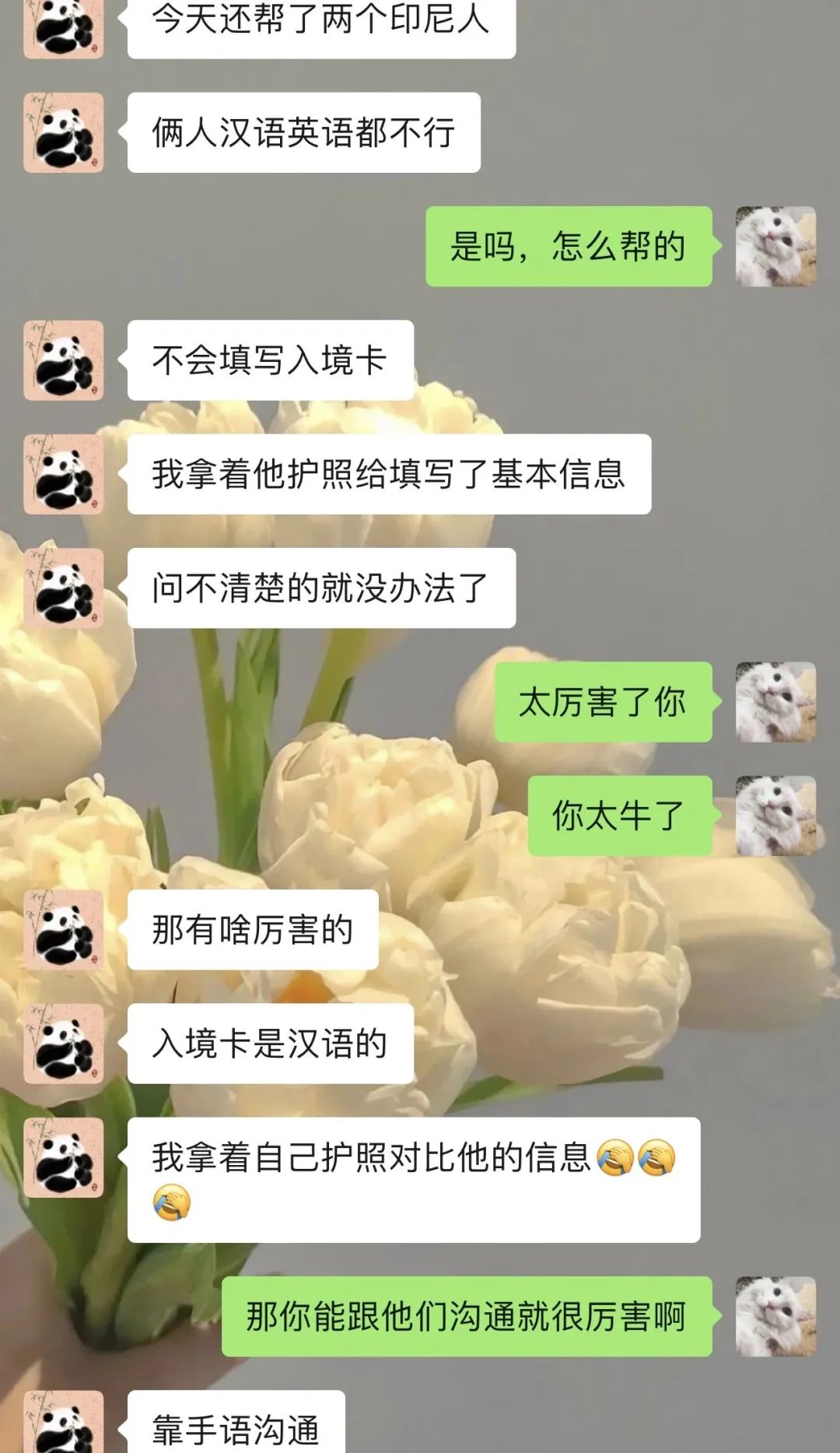 印尼自由行路线攻略,印尼自由行攻略