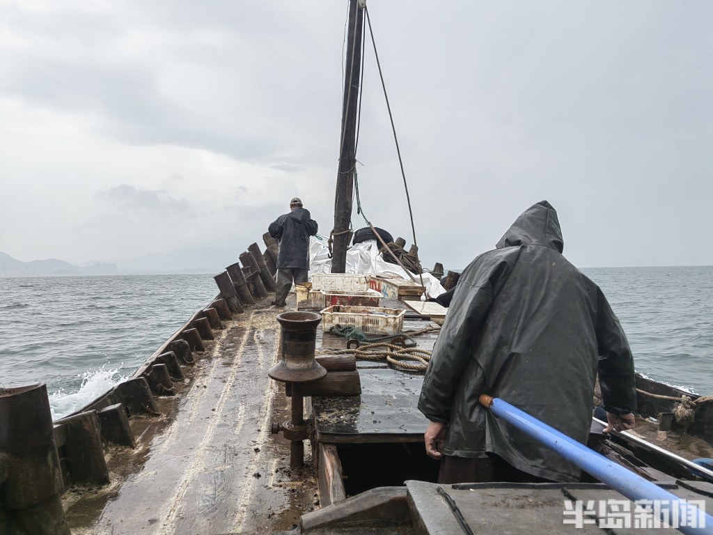 青岛开海渔船出海视频,青岛小港渔船出海
