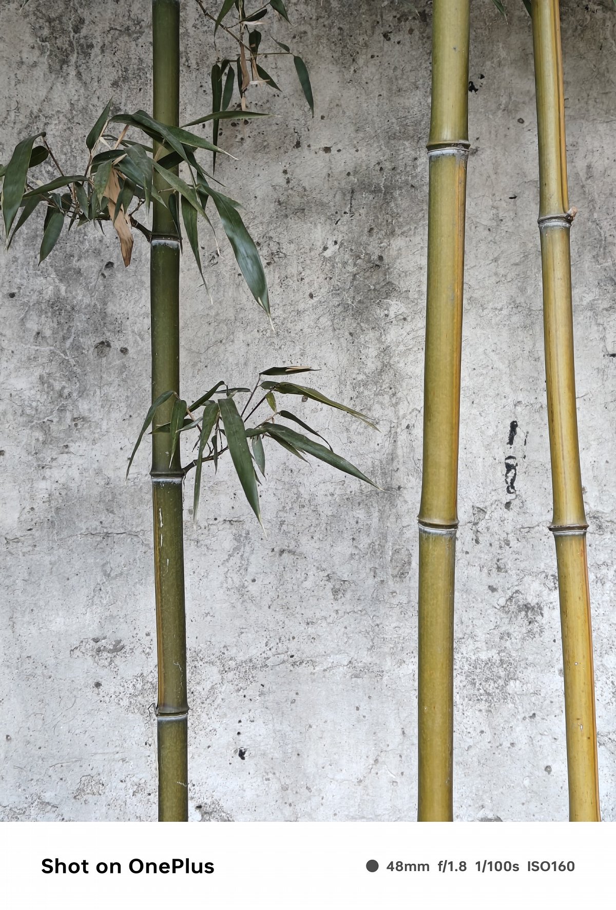 oneplus一加ace3,一加ace3