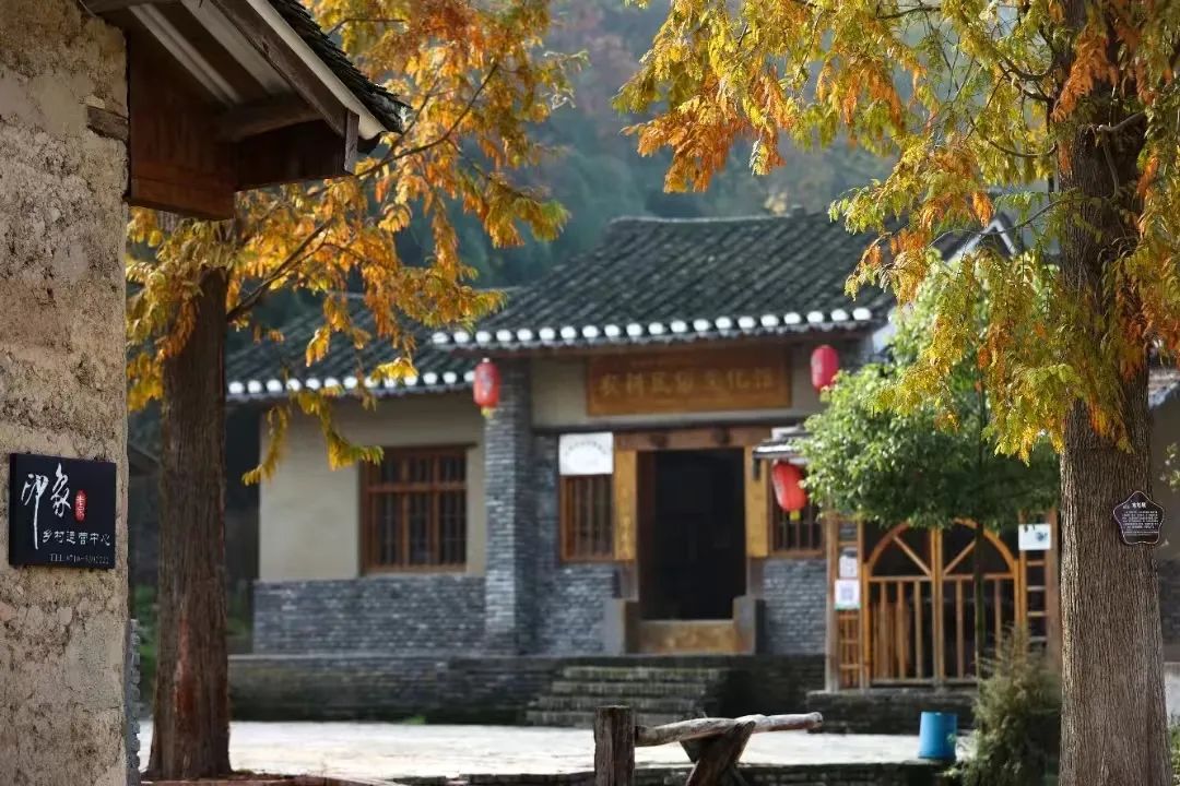 免费！半价！南漳的“爱”给特别的“她”