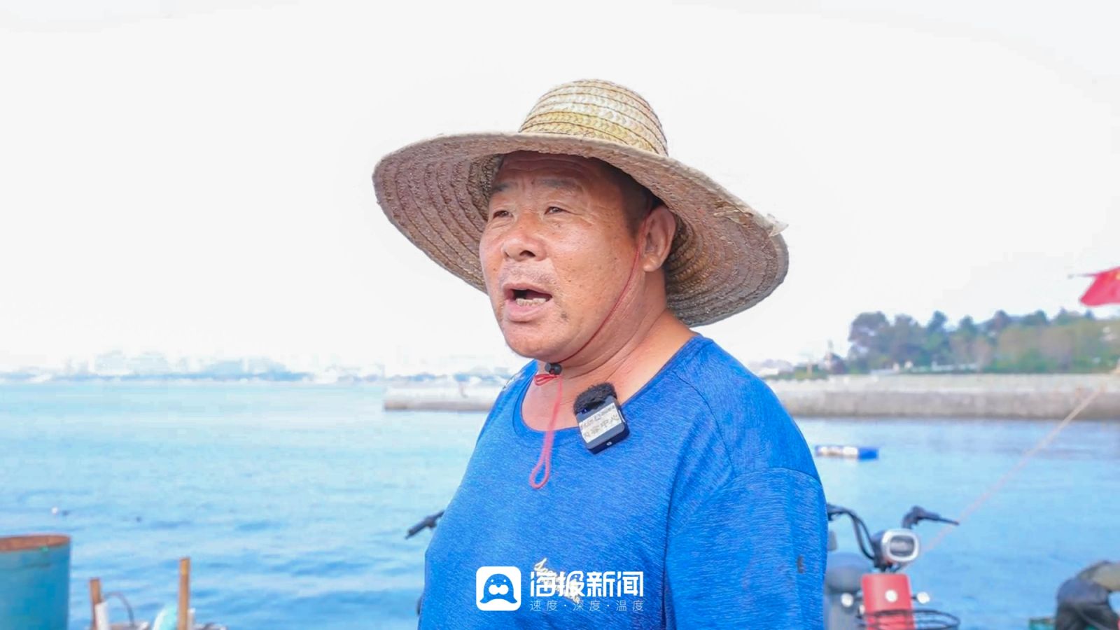 日照小海虾批发,日照小开海