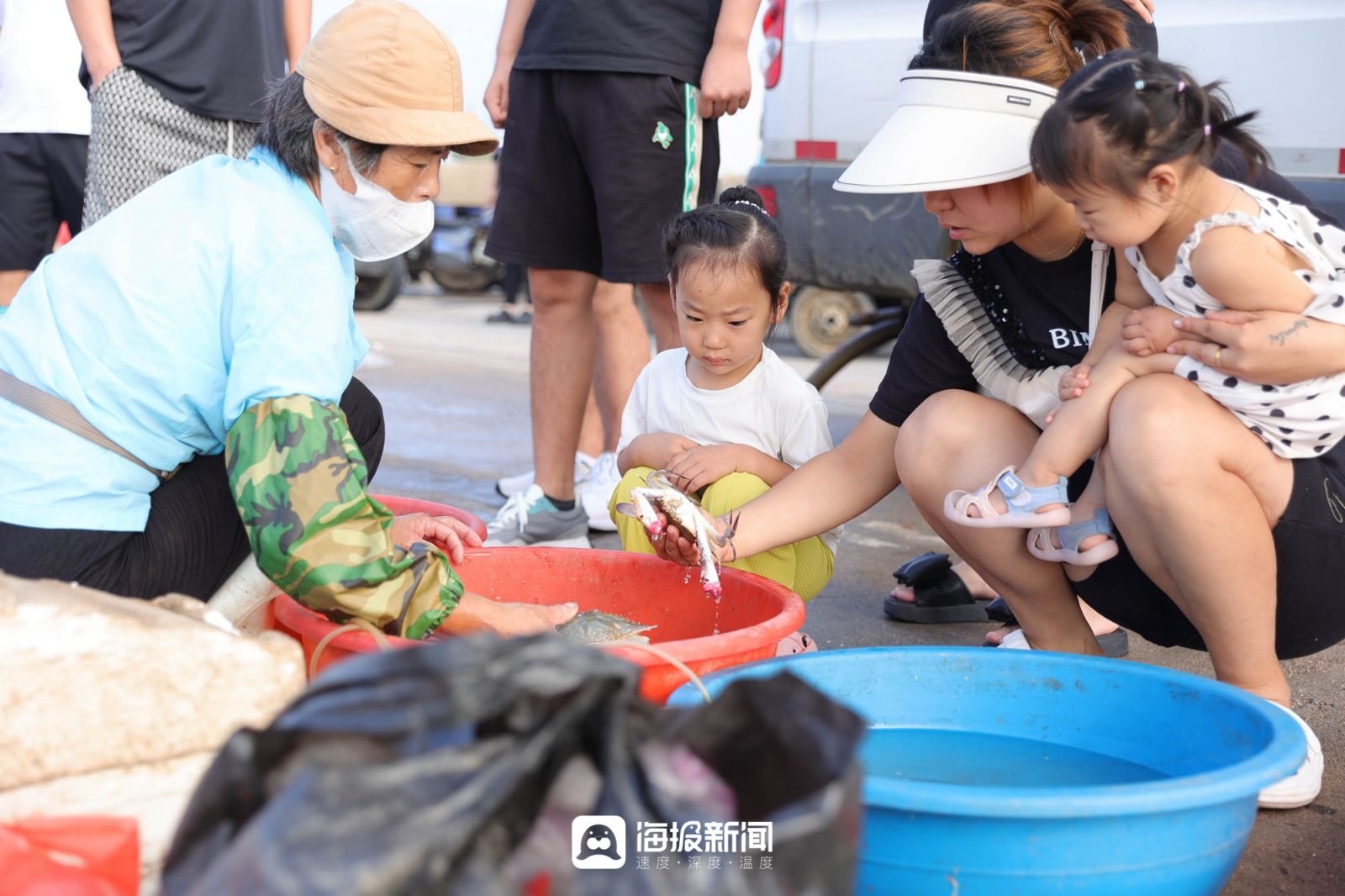 日照海鲜海蜇专卖,日照小螃蟹价格最新行情