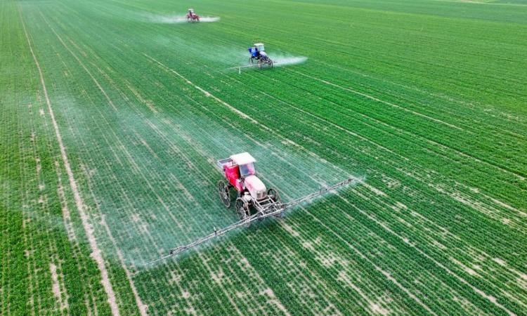 ai时政画报,ai时政画报梦想成真